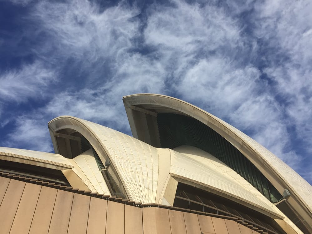 A Roofing Contractor