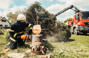 TREE SERVICES SIOUX FALLS