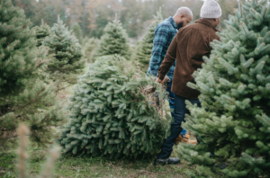 dragging trees