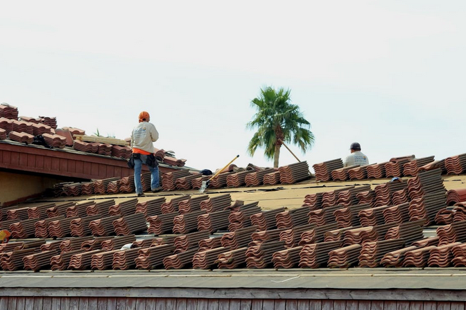 roof shingles